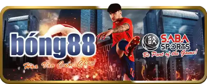 Hướng dẫn cá cược chi tiết cho người mới bắt đầu tại soxo66 chính thức